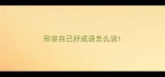 形容自己好成语怎么说
