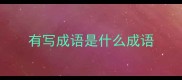 有写成语是什么成语