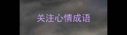 关注心情成语