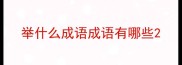 举什么成语成语有哪些