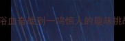 成语接龙终极玩法从浴血奋战到一鸣惊人的趣味挑战附推荐接龙模板
