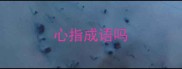 心指成语吗