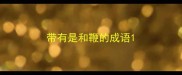 带有是和鞭的成语