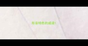 形容特色的成语