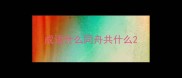 成语什么同舟共什么