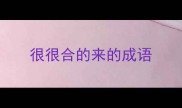 很很合的来的成语