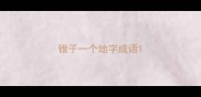 锥子一个地字成语