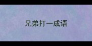 兄弟打一成语