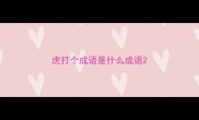 虎打个成语是什么成语