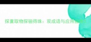 探囊取物探骊得珠双成语与应用指南
