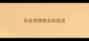 形容货物很多的成语