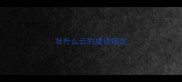 壮什么云的成语接龙