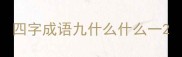 四字成语九什么什么一