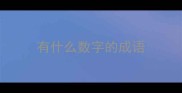 有什么数字的成语