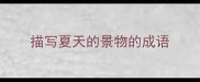 描写夏天的景物的成语
