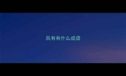 凤有有什么成语