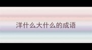 洋什么大什么的成语