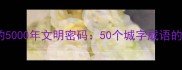 以城为始的5000年文明密码50个城字成语的文化解码