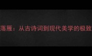 沉鱼落雁从古诗词到现代美学的极致之美