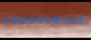 形容是成语有哪些成语