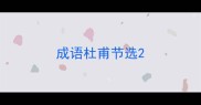 成语杜甫节选