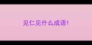 见仁见什么成语