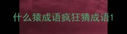 什么猿成语疯狂猜成语