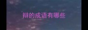 辩的成语有哪些