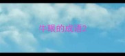 牛眼的成语