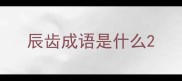 辰齿成语是什么