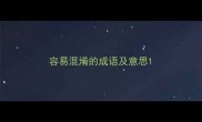 容易混淆的成语及意思