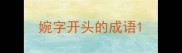 婉字开头的成语