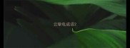 云挚电成语