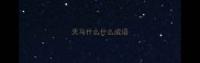 天马什么什么成语
