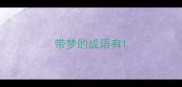 带梦的成语有