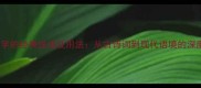含有摄字的经典成语及用法从古诗词到现代语境的深度解读