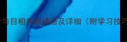 20个与目相关的成语及详细附学习技巧