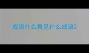 成语什么舞见什么成语