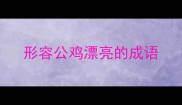 形容公鸡漂亮的成语