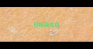 相成趣成语