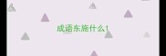 成语东施什么