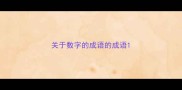 关于数字的成语的成语