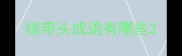绿带头成语有哪些