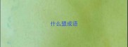 什么盟成语