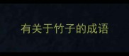 有关于竹子的成语