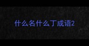 什么名什么丁成语