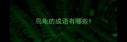 鸟龟的成语有哪些