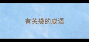 有关袋的成语