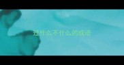 过什么不什么的成语