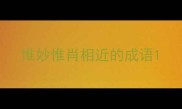 惟妙惟肖相近的成语
